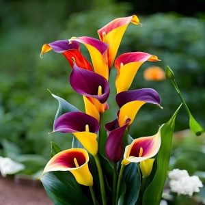 Калла Кристалл купить по цене от 450р. в интернет-магазине «Посадика» с доставкой почтой в в Реутове и по всей России – [изображение №1].