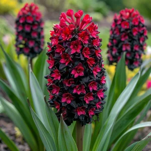 Гиацинт Джем Стоун купить по цене от 2099р. в интернет-магазине «Посадика» с доставкой почтой в в Реутове и по всей России – [изображение №1].