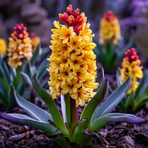 Гиацинт Миднайт Мистери купить по цене от 2099р. в интернет-магазине «Посадика» с доставкой почтой в в Реутове и по всей России – [изображение №1].