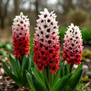 Гиацинт Скай Гарден купить по цене от 2099р. в интернет-магазине «Посадика» с доставкой почтой в в Реутове и по всей России – [изображение №1].